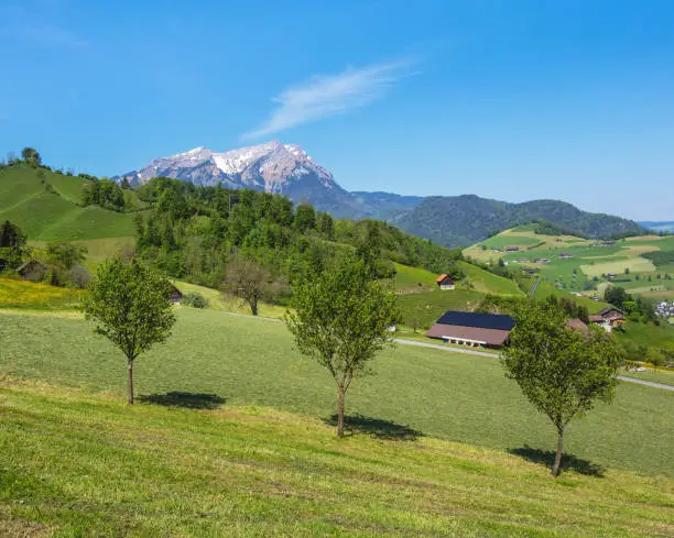 A springtime view from the foot of Mt. Stanserhorn in the Swiss canton of Nidwalden close to the town of Stans, summit of Mt. Pilatus in the background.