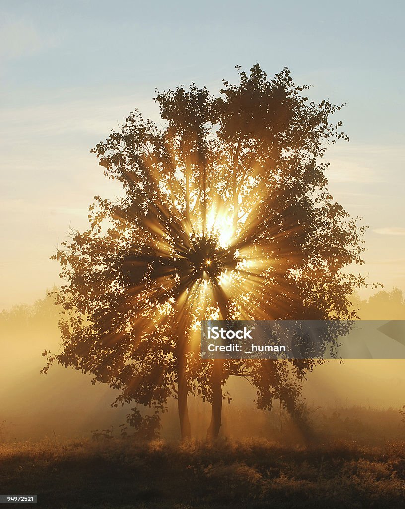 Morning Sunlight  Autumn Stock Photo