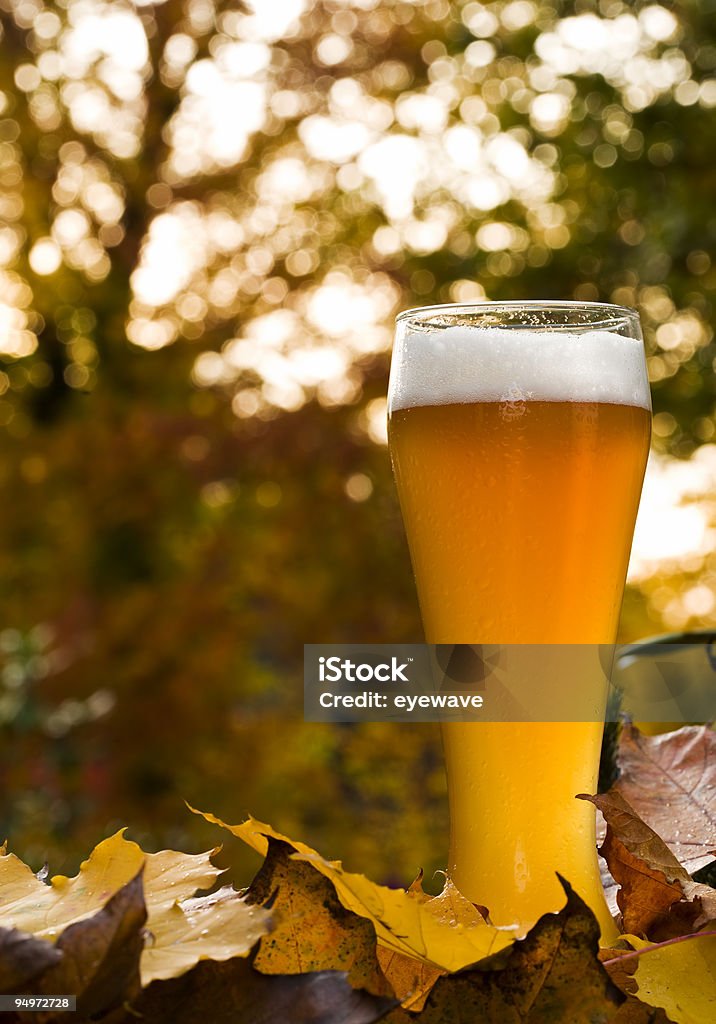 Bávaro weissbier entre autumnal hojas - Foto de stock de Cerveza libre de derechos