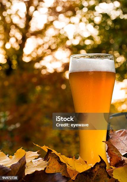 Bávaro Weissbier Entre Autumnal Hojas Foto de stock y más banco de imágenes de Cerveza - Cerveza, Otoño, Fotografía - Imágenes