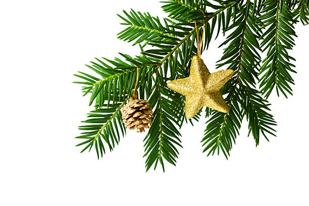 istock fir branch with christmas decoration isolated 94972813