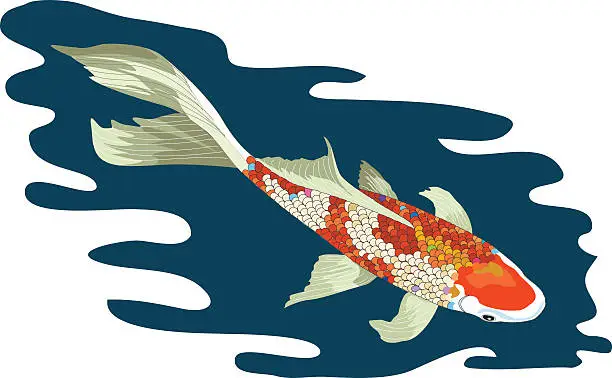 Vector illustration of Colorful Koi Pond Gold Fish Swimming