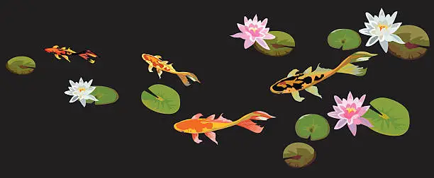 Vector illustration of Koi Pond