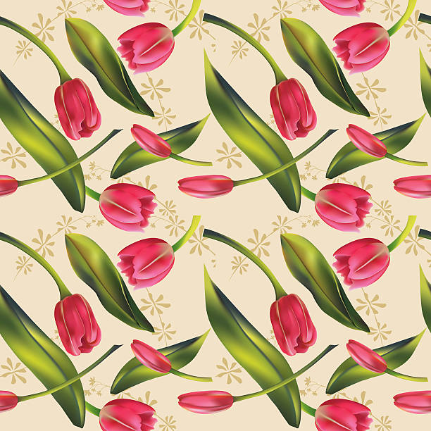 illustrations, cliparts, dessins animés et icônes de tulipes de papier peint sans couture - double tulip
