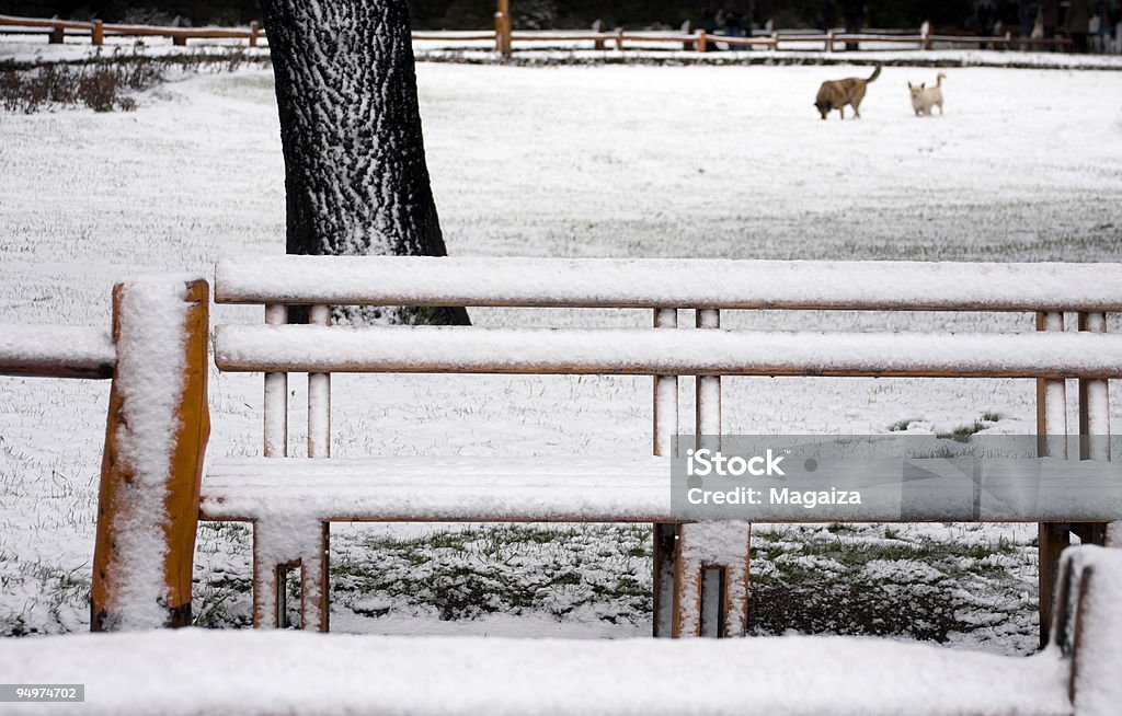 Hiver Park - Photo de Argentine libre de droits