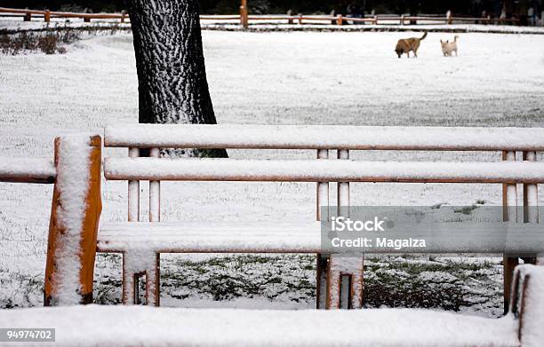 윈터 공원 0명에 대한 스톡 사진 및 기타 이미지 - 0명, 가로장 울타리, 겨울