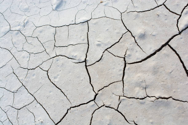istock Gray color dry cracked muddy earth 949748326