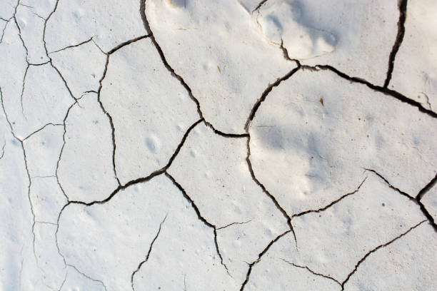 istock Gray color dry cracked muddy earth 949748416