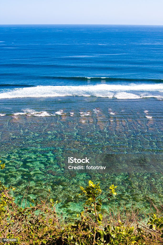 Corals on tropical sea Bali, Indonesia Asia Stock Photo