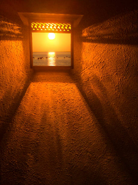 istock Baja in the lamp 949764660