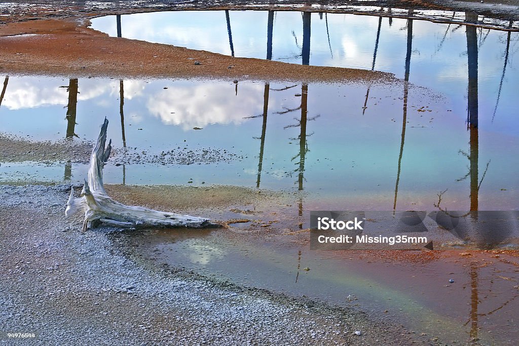 Gêiser cores do arco-íris, piscina & Driftwood - Foto de stock de Abstrato royalty-free