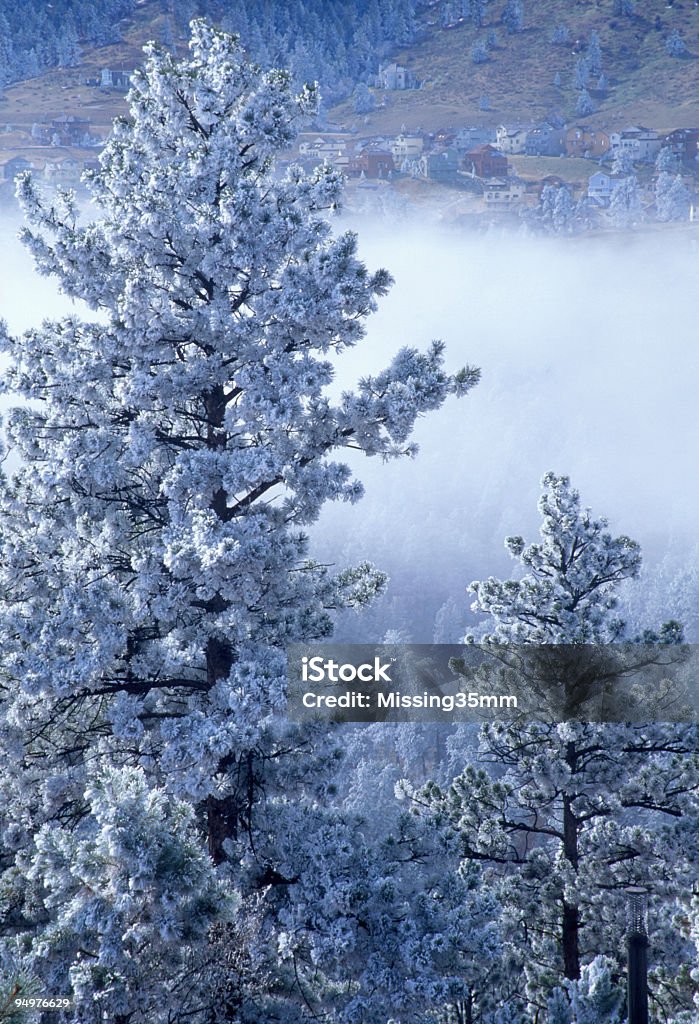 Туман на нижние склоны холмов, штат Колорадо - Стоковые фото Белый роялти-фри