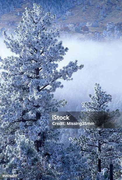 Туман На Нижние Склоны Холмов Штат Колорадо — стоковые фотографии и другие картинки Белый - Белый, Вертикальный, Верхний ракурс