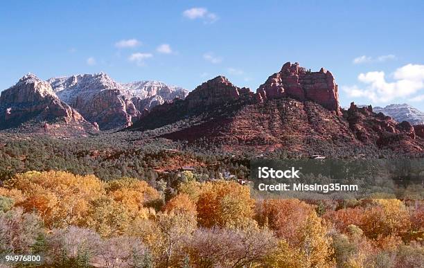 Autunno Di Sedona - Fotografie stock e altre immagini di Albero - Albero, Albero deciduo, Ambientazione esterna