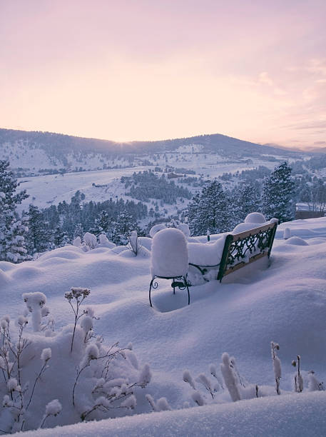 istock Snowy Winter Garden at Sunset 94976846