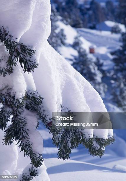 Schneebedeckte Branch Langen Schatten Stockfoto und mehr Bilder von Tiefschnee - Tiefschnee, Ast - Pflanzenbestandteil, Kiefer
