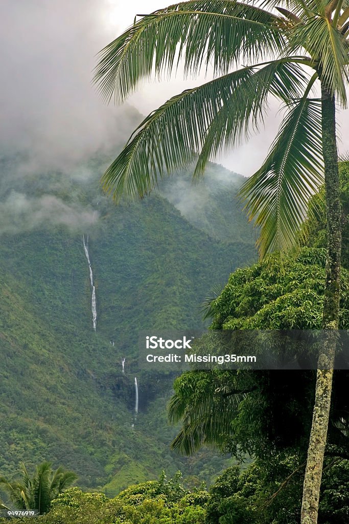 Hawaiian & cascadas y ducha con cabezal a presión - Foto de stock de Acantilado libre de derechos