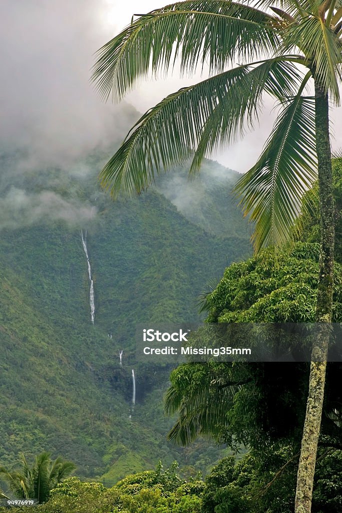 Hawaiian & cascades douche à jets de pluie - Photo de Abrupt libre de droits