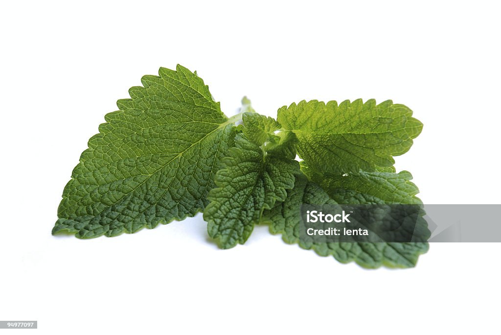 Menta piperita - Foto stock royalty-free di Botanica