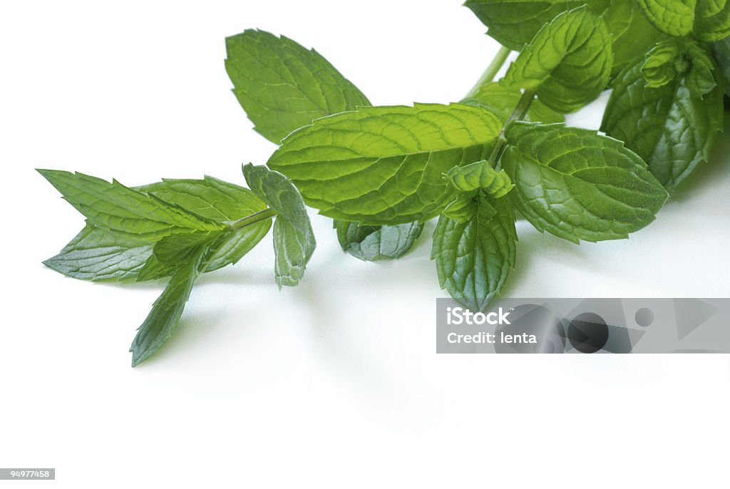 mint leaves - Стоковые фото Без людей роялти-фри