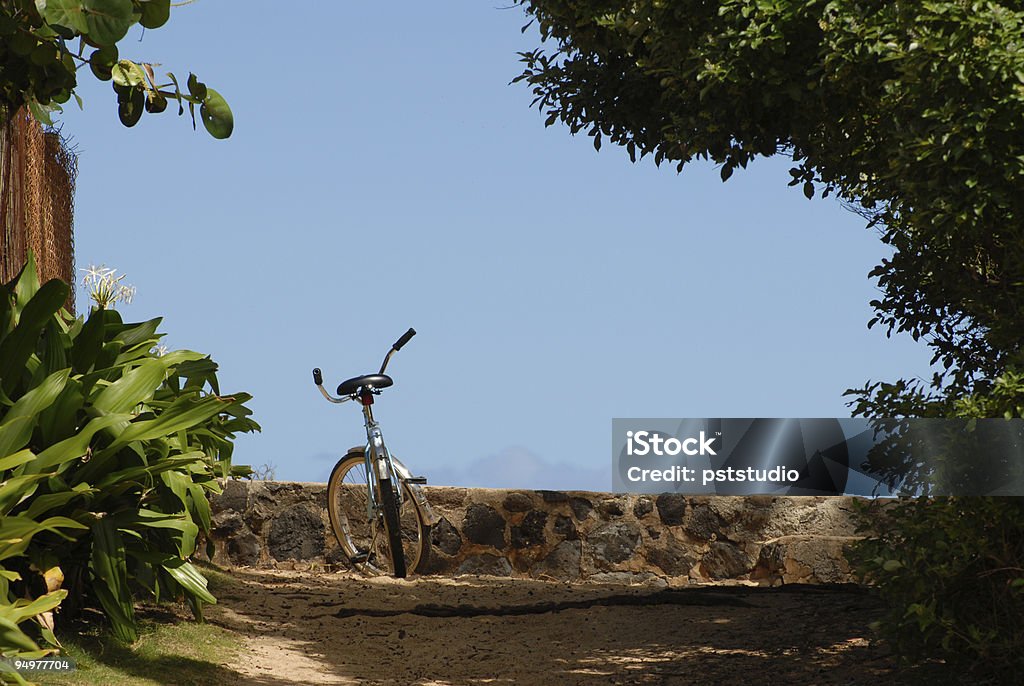 Bicicletta sul sentiero in spiaggia - Foto stock royalty-free di Albero