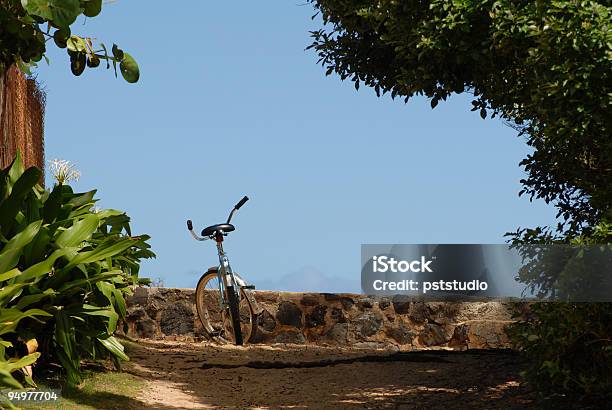 Bicicletta Sul Sentiero In Spiaggia - Fotografie stock e altre immagini di Albero - Albero, Albero tropicale, Ambientazione esterna