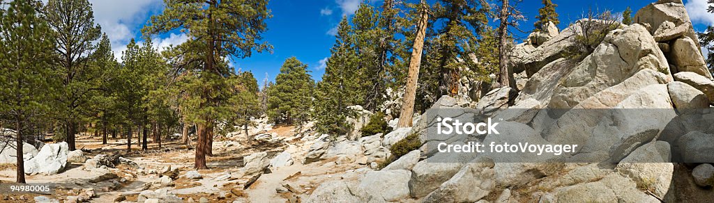 High Sierra Nature trail - Photo de Forêt libre de droits