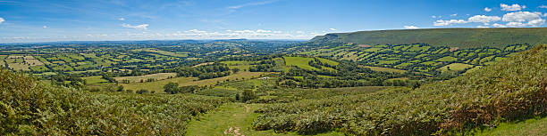 istock Green hills, farm and vale 94980083