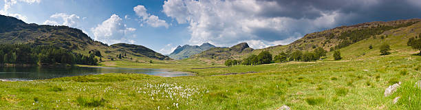 idílica montaña meadow - grass lake fotografías e imágenes de stock