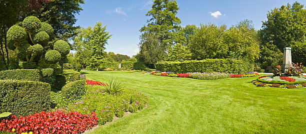 magnifique jardin vert herbe - jardin classique photos et images de collection