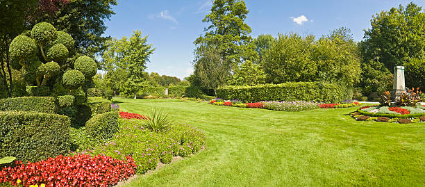 великолепный сад зеленая трава - beauty in nature blue bush color image стоковые фото и изображения
