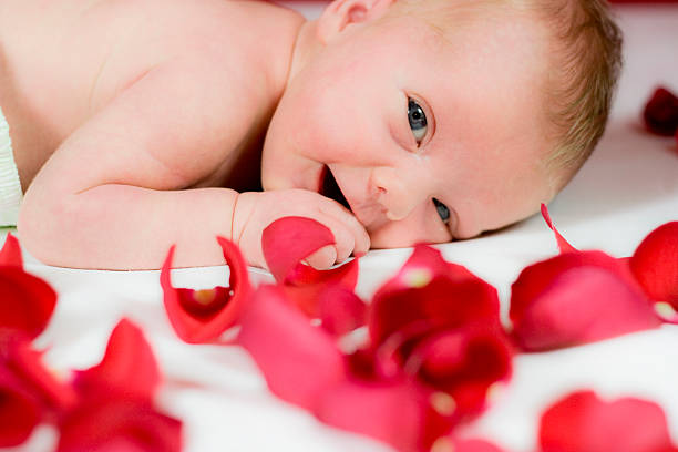 bebê menina com red roses (expressão inglesa - 7298 imagens e fotografias de stock