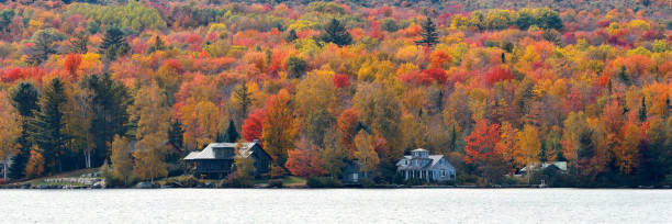 istock Lake Autumn Foliage 949827648
