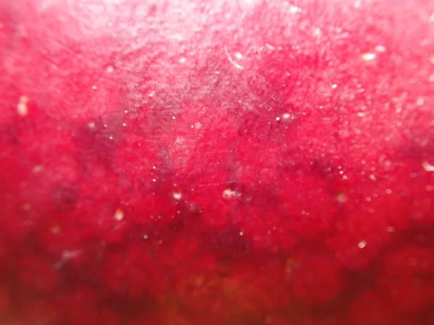 istock Plum skin close-up background 949828058