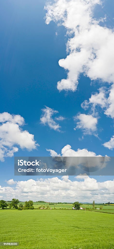 Big sky country banner di verde - Foto stock royalty-free di Agricoltura