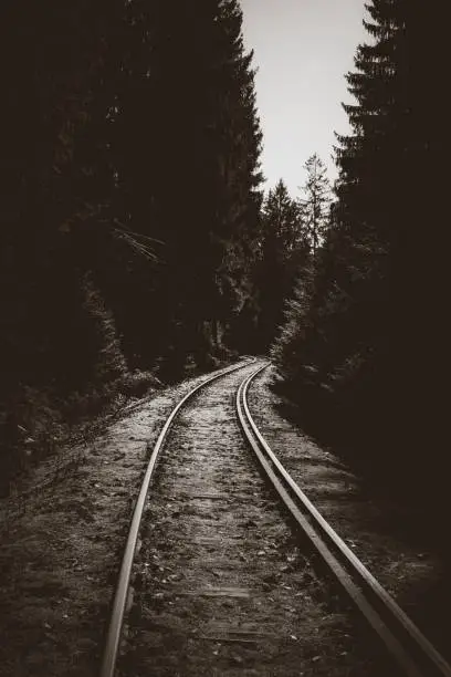 Railway track in the forest in black and white