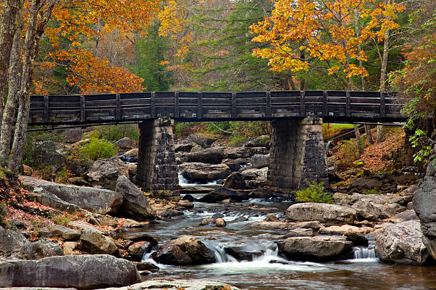 istock Autumn view of Glade Creek Bridge 94983861