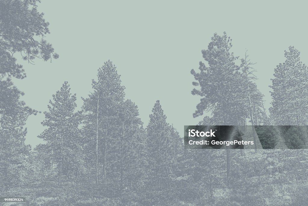 Pine trees at Bryce Canyon National Park Mezzotint illustration of Pine trees at Bryce Canyon National Park Bristlecone Pine stock vector