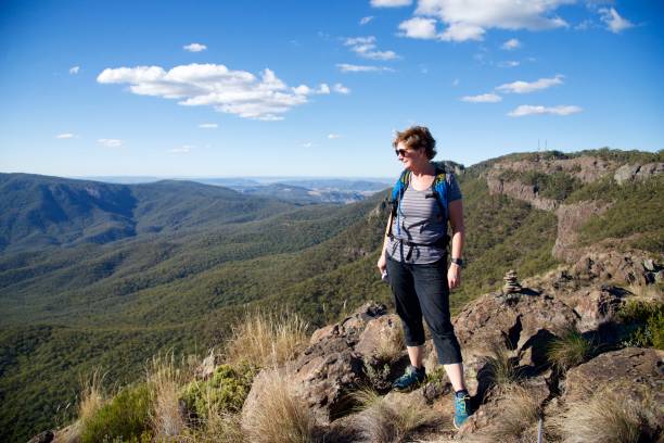 istock Bushwalking in the mountains and looking at the view 949850344