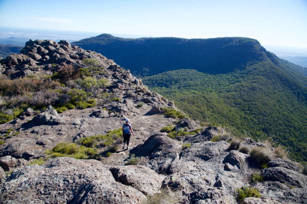 istock Bushwalking in the mountains and looking at the view 949850356