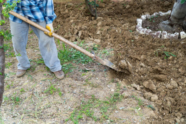 istock gardening, working the soil, soil chopping 949850624