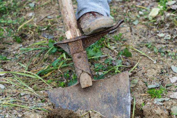 istock gardening, working the soil, soil chopping 949850626