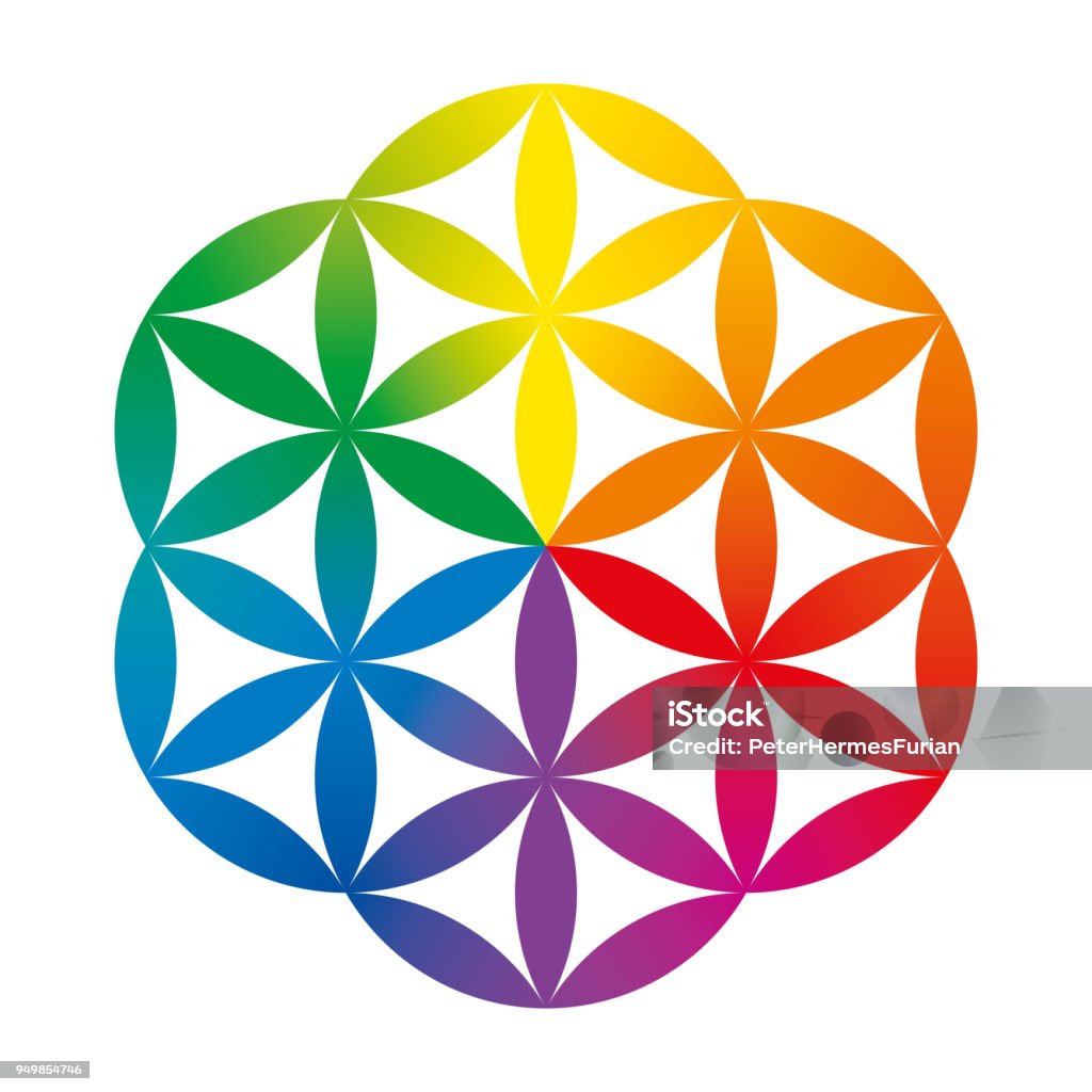 Rainbow colored half of a Flower of Life Rainbow colored half of a Flower of Life. Geometrical figure composed of multiple overlapping circles, forming a flower like pattern with symmetrical hexagon structure. Illustration over white. Vector Sacred Geometry stock vector
