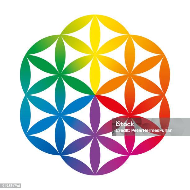 Rainbow Colored Half Of A Flower Of Life Stock Illustration - Download Image Now - Sacred Geometry, Flower, Geometry