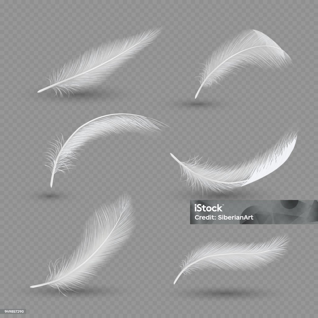 White birds feather icon set, vector realistic illustration White birds feather icon set. Vector realistic illustration isolated on transparent background. Feather stock vector