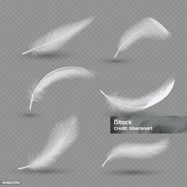 White Birds Feather Icon Set Vector Realistic Illustration Stock Illustration - Download Image Now