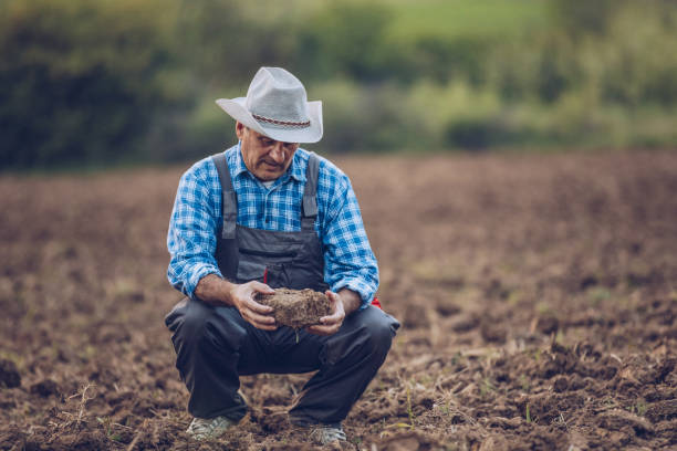 istock Farmer checking the soil on his field 949860256