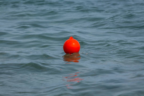 istock Buoys in calm water 949864498