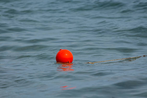 istock Buoys in calm water 949864522
