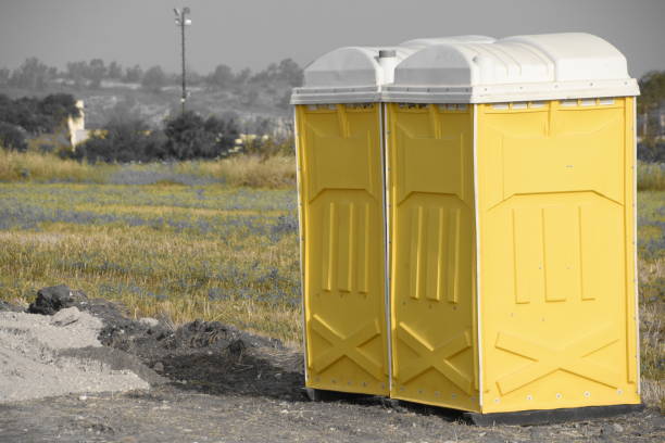 istock toilet cubicle in a field 949865320